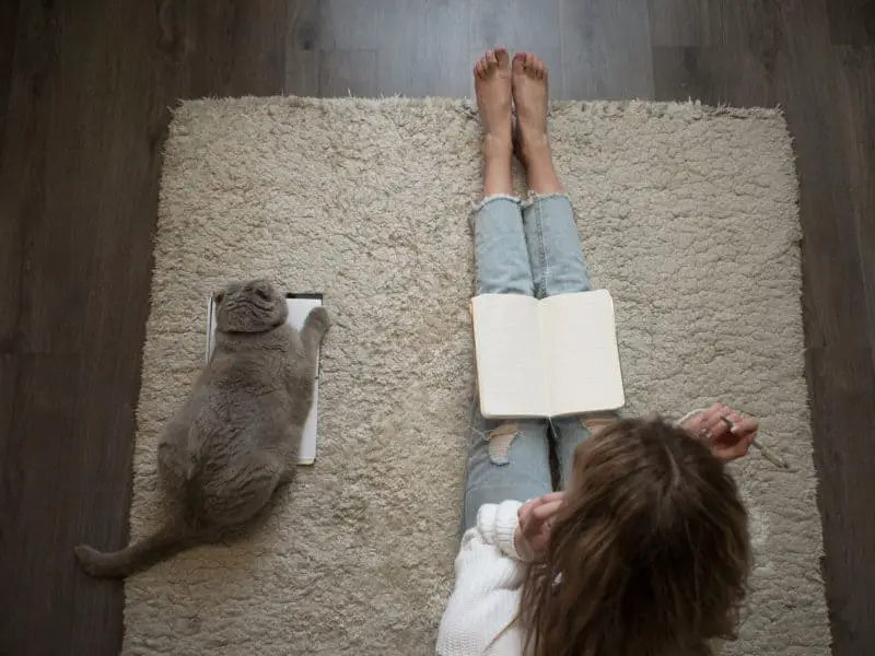 woman-sitting-journaling-next-to-cat
