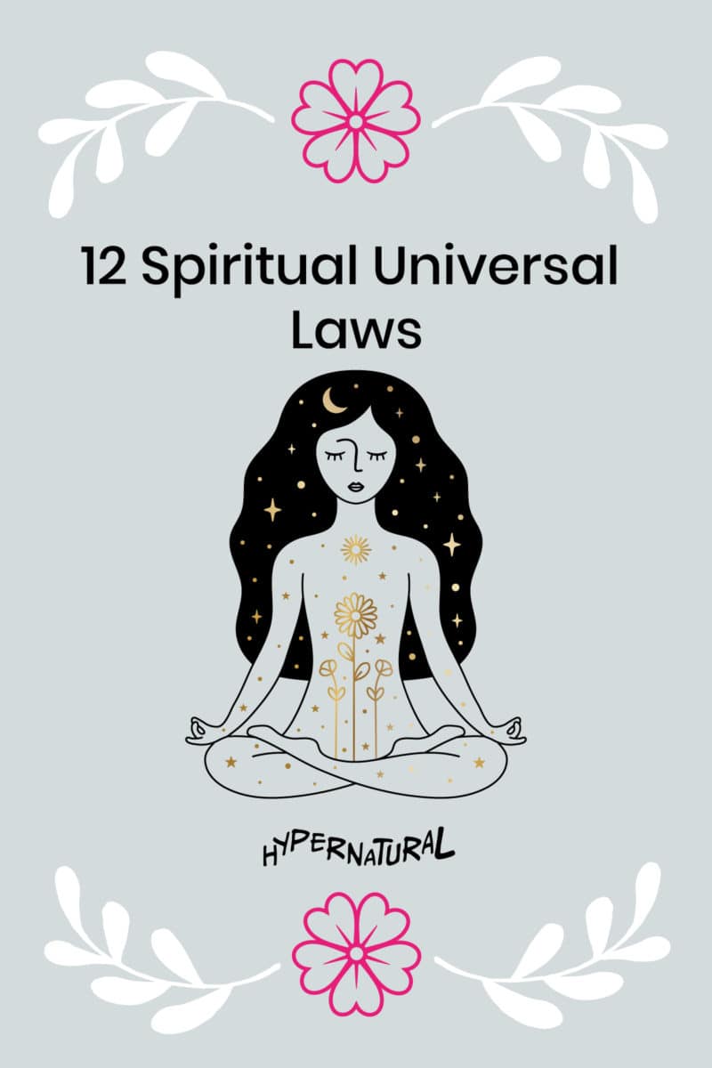12-Universal-Laws-of-Manifestation-pins-1