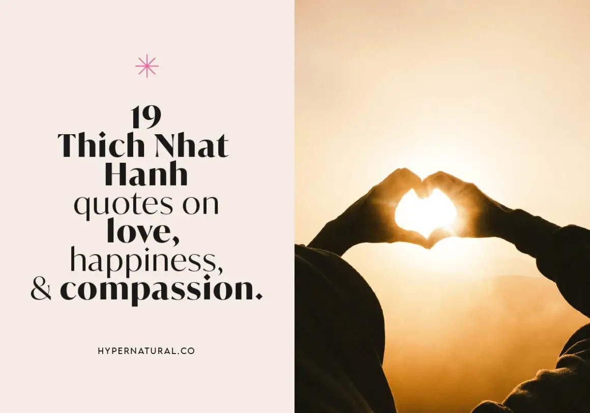 19-thich-nhat-hanh-quotes-on-love-happiness-and-compassion