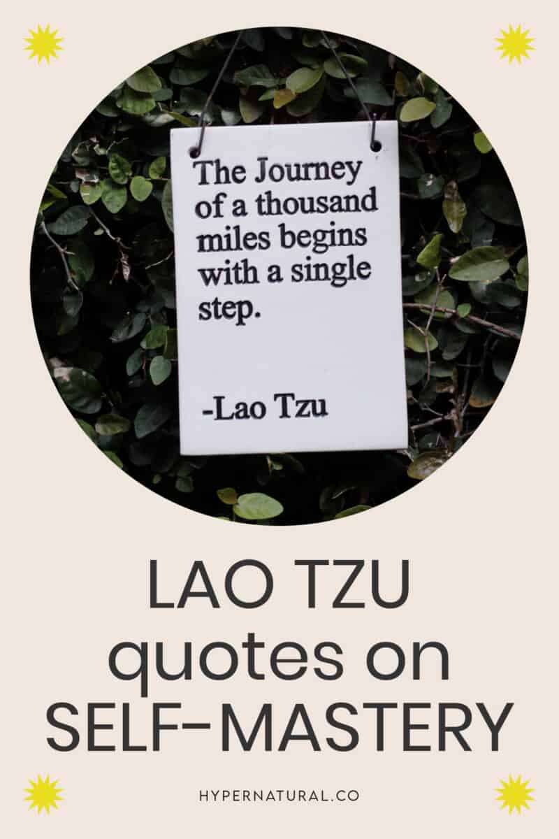 18-lao-tzu-quotes-on-self-mastery-pin1