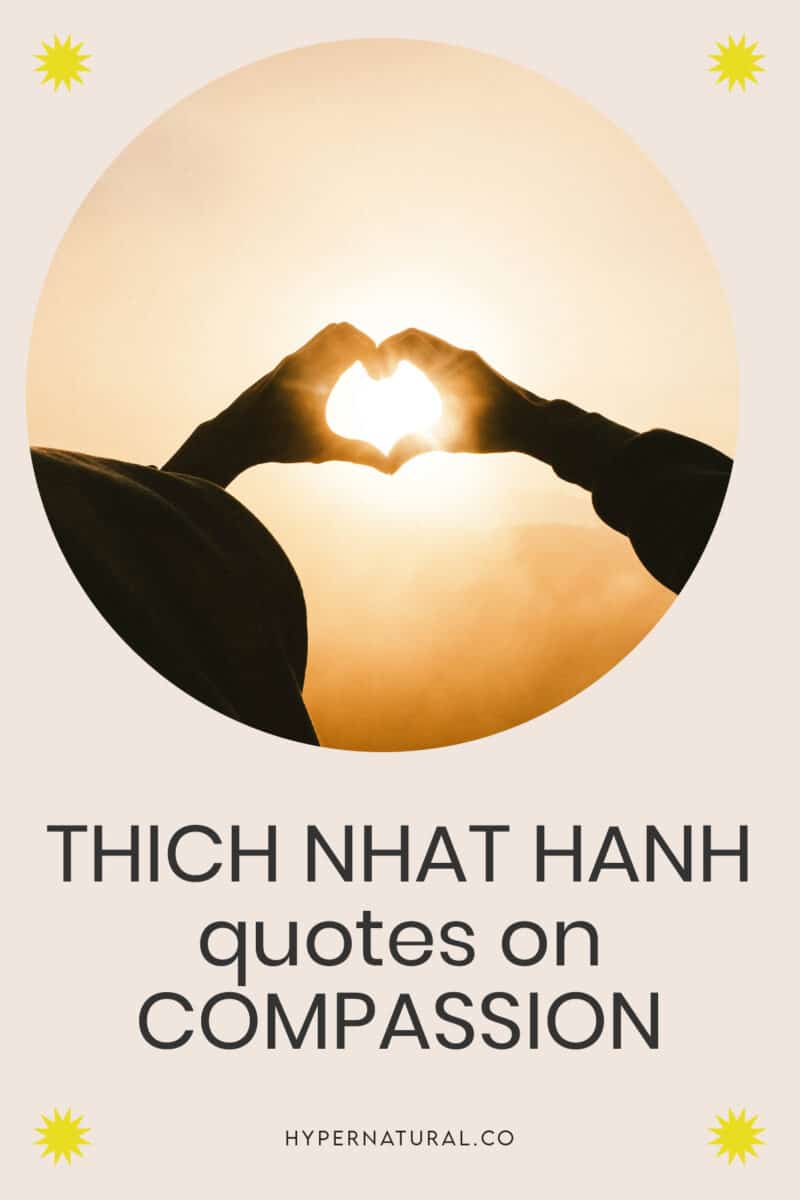 19-thich-nhat-hanh-quotes-on-love-happiness-and-compassion-pin1