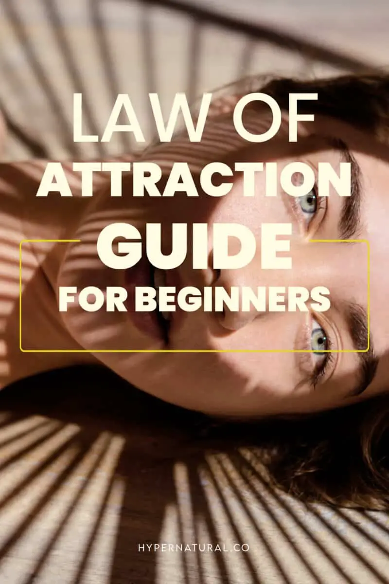 Beginner's-law-of-attraction-guide-pin1