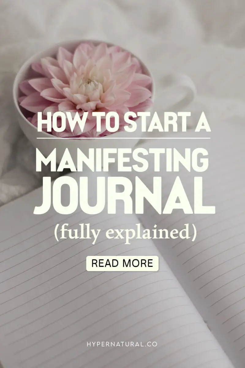 How-to-start-a-manifesting-journal-(fully-explained)-pin1