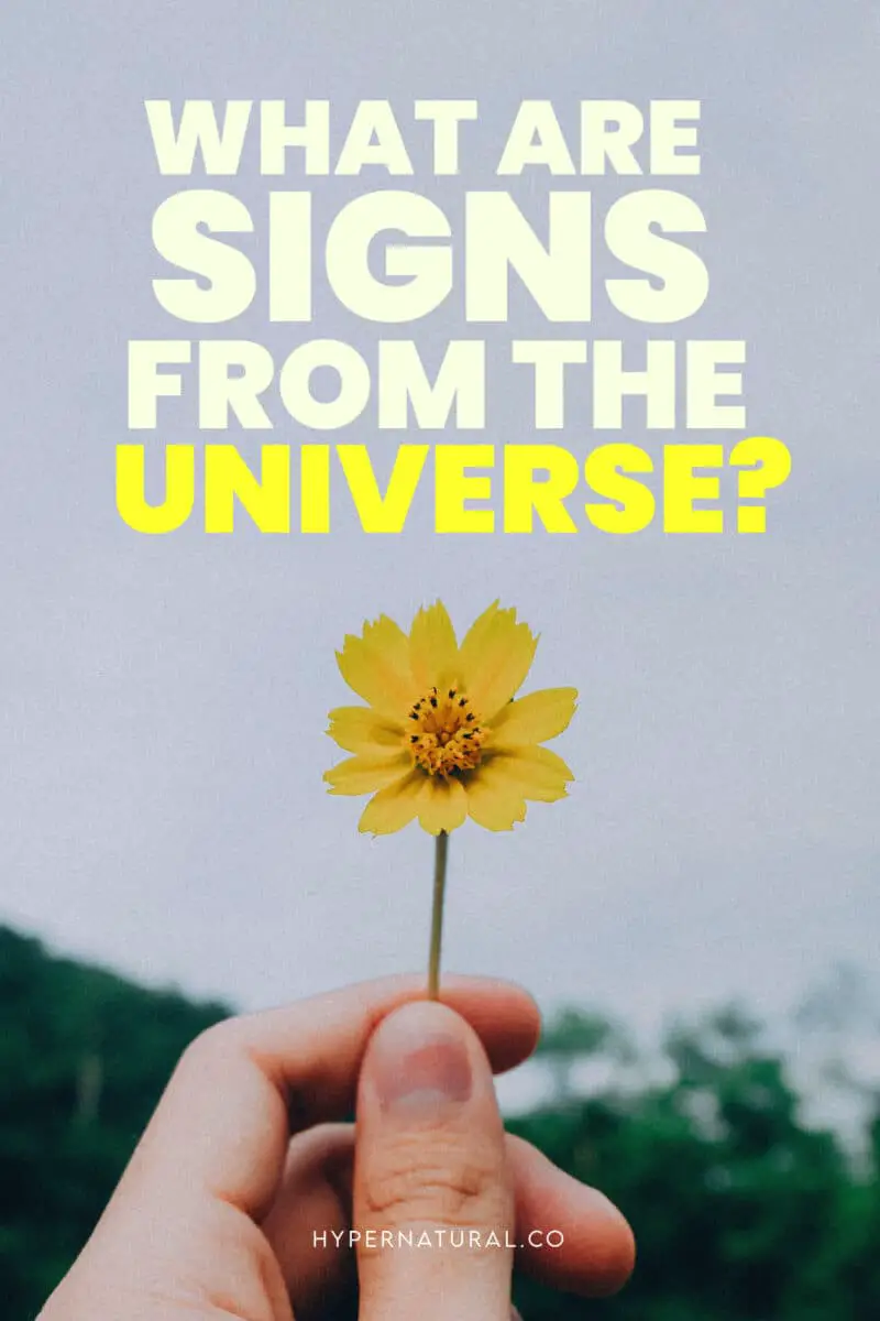 What-are-signs-from-the-Universe?-pin1