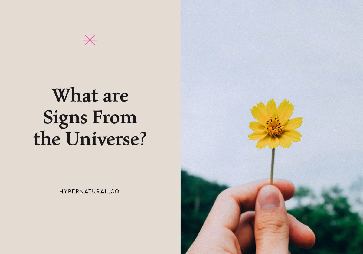 What-are-signs-from-the-Universe?