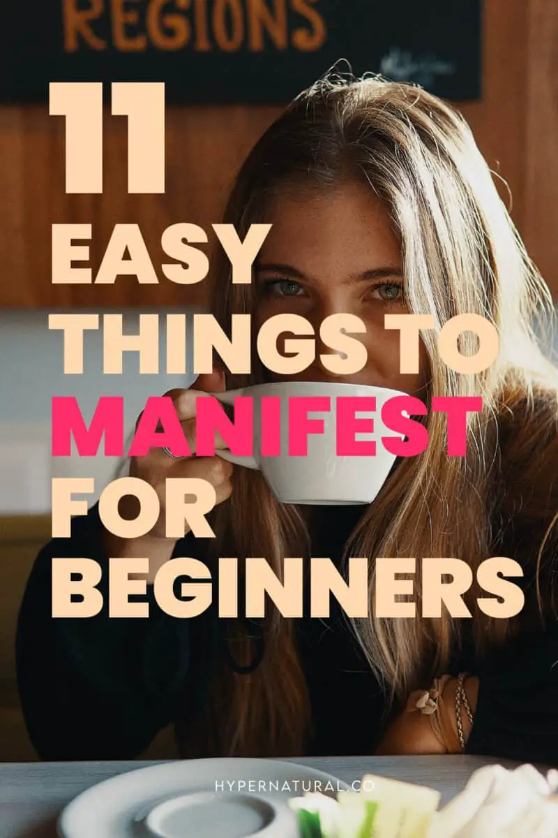 easy-things-to-manifest-for-beginners-LOA-pin1